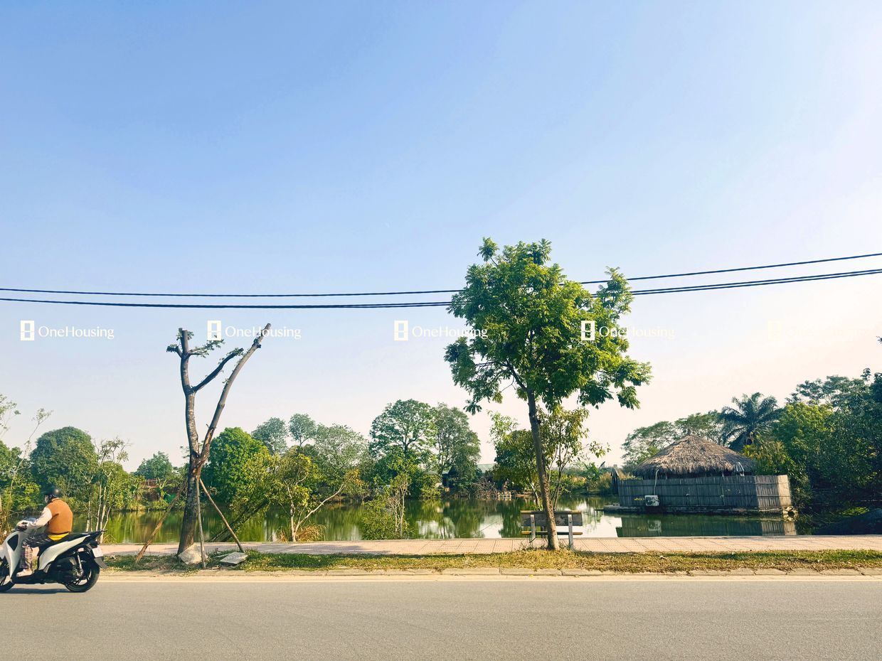 Bán nhà mặt phố Lâm Hạ, Q. Long Biên, 258.8m2 x 5 tầng - Giá 135 tỷ - Ảnh 4