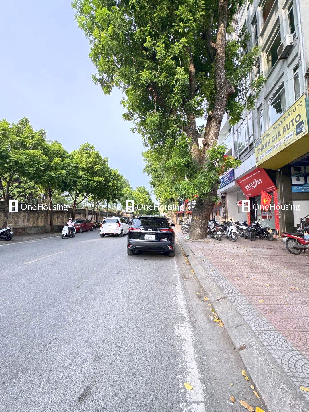 Bán nhà mặt phố Ngọc Lâm, Q. Long Biên, 84.6m2 x 1 tầng - Giá 27.6 tỷ - Ảnh 4