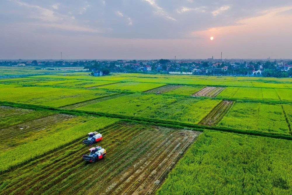 Hướng dẫn chi tiết từ A đến Z thủ tục thực hiện dồn điền đổi thửa mới nhất