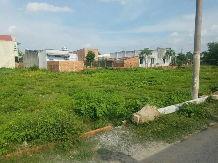 Làm cách nào để kiểm tra đất có khả năng lên thổ cư hay không?