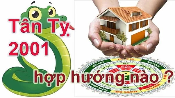 Hướng nhà nào hợp với tuổi Tân Tỵ 2001 nam mạng?