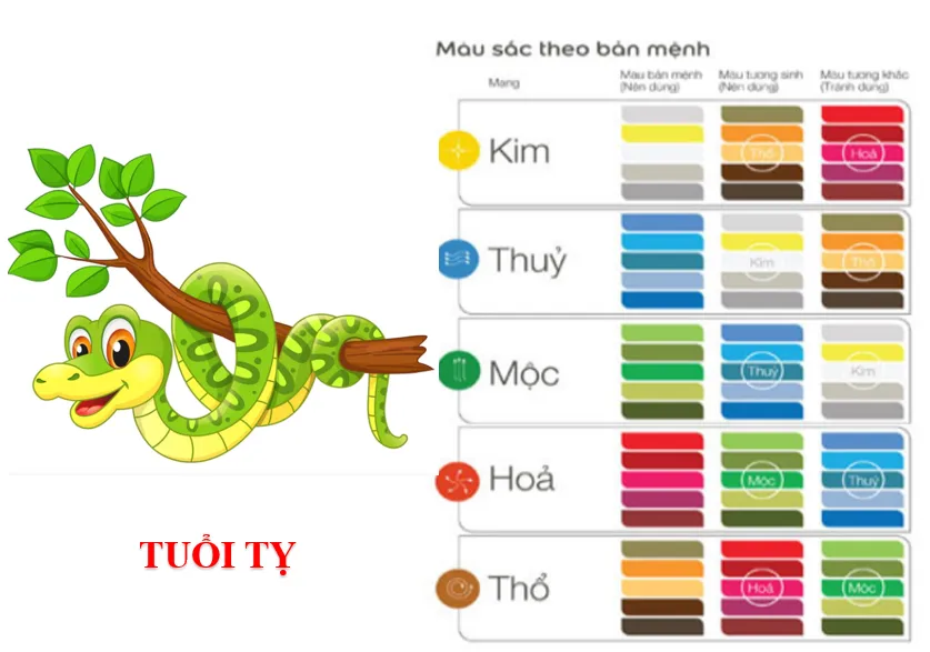 Tuổi Tân Tỵ 2001 nên sử dụng màu sắc nào để tăng cường vận khí trong năm 2024?