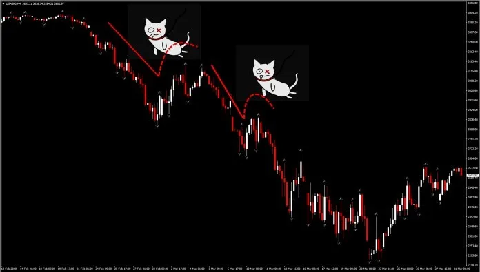 Hiện tượng Dead Cat Bounce và cách giao dịch