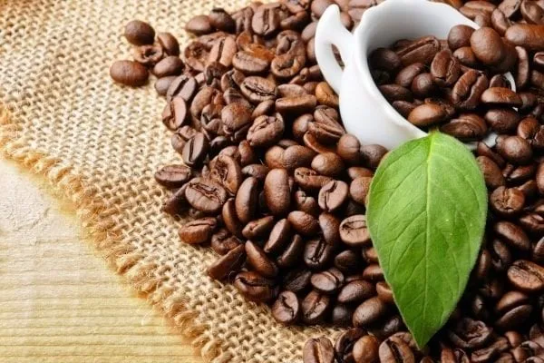 Những khái niệm nào thường gặp trong thị trường giá cà phê?