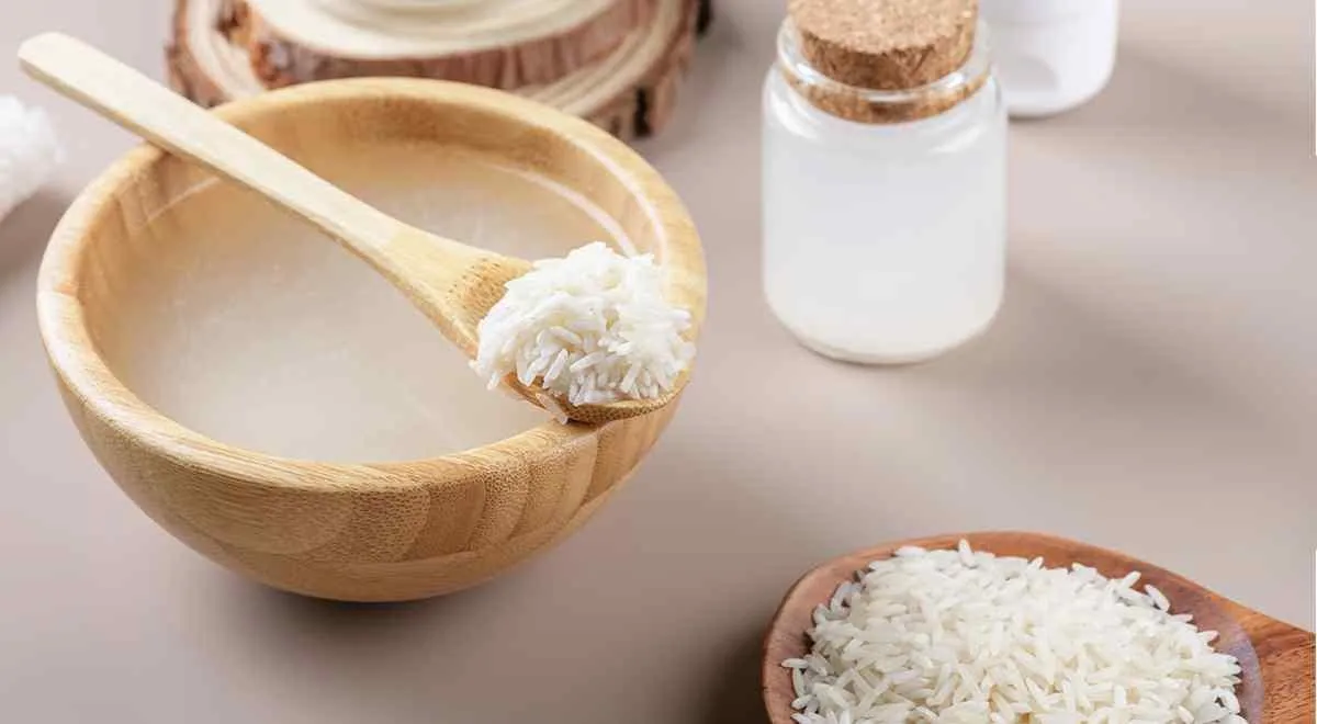 Có nên sử dụng nước vo gạo để tưới cây cảnh trong chậu?