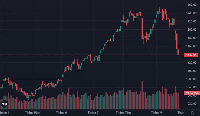 Chỉ số VN Index và chỉ số ASX 200 có điểm khác biệt nào?