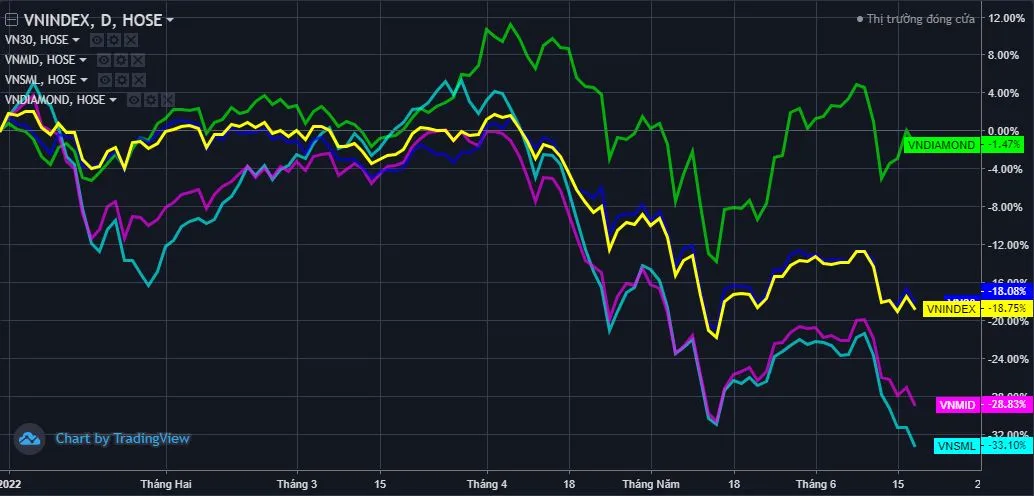 Làm thế nào để phân biệt chỉ số VN Index và chỉ số VNSmallcap?