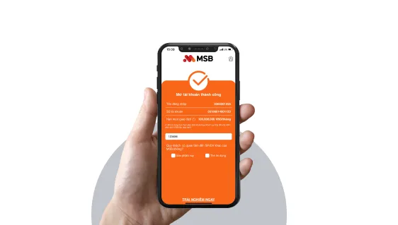 Hạn mức giao dịch e-banking của MSB trong ngày là bao nhiêu?