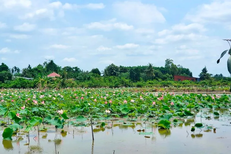 Cập nhật bản đồ quy hoạch huyện Châu Thành Nam Bến Tre mới nhất