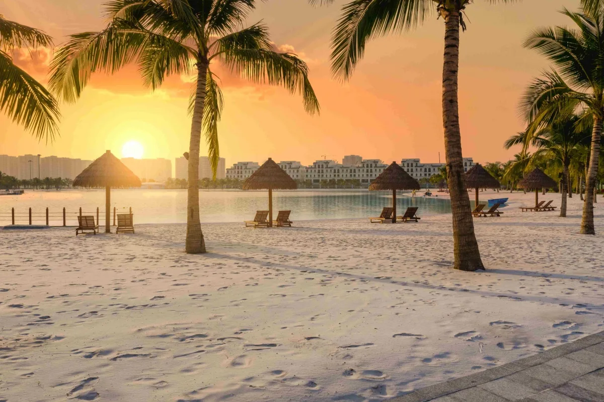Tại sao Miami là lựa chọn lý tưởng cho cô nàng độc thân muốn thuê Masteri Waterfront?