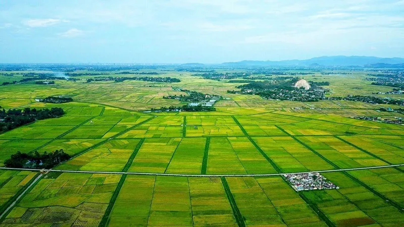 Ứng dụng phương pháp thu nhập trong thực tế định giá đất như thế nào?