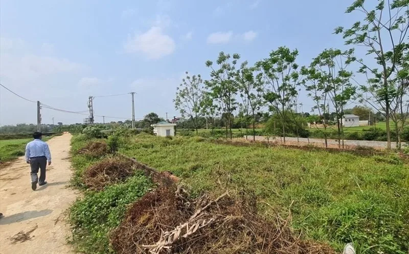 Ứng dụng phương pháp so sánh trong thực tế định giá đất như thế nào?