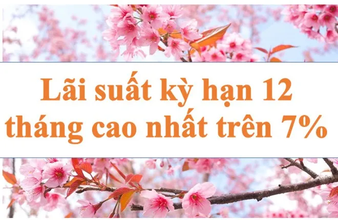 Lãi suất ngân hàng hôm nay 7-11-2024: Kỳ hạn 12 tháng trên 7%