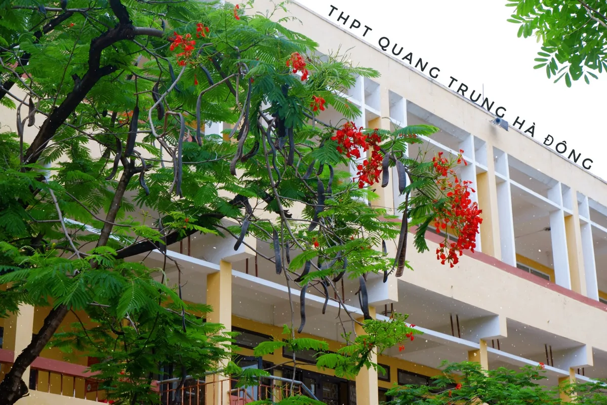 Gần chung cư Park Kiara quận Hà Đông có các trường THPT nào?