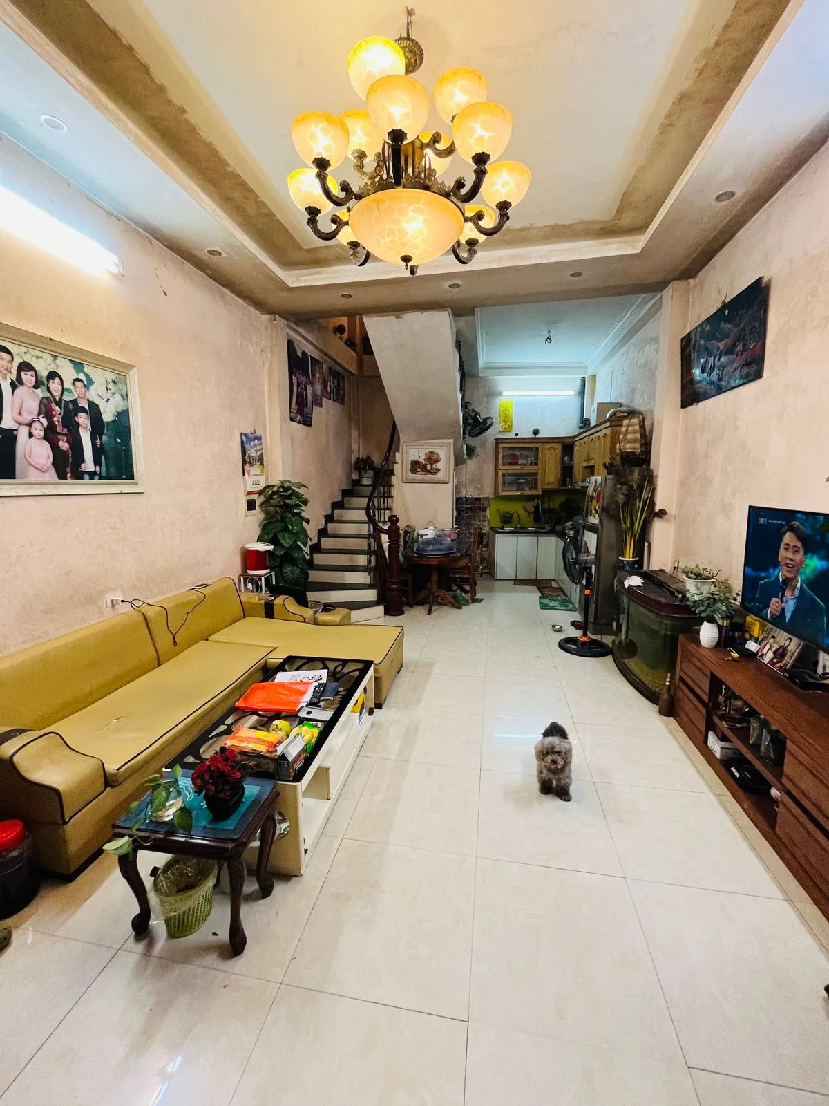 Nhà mặt ngõ diện tích 30m2 - 45m2 đường Quốc Tử Giám quận Đống Đa giá bao nhiêu?