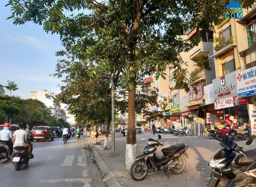 Tra cứu bản đồ quy hoạch phường Thanh Nhàn quận Hai Bà Trưng Hà Nội mới nhất