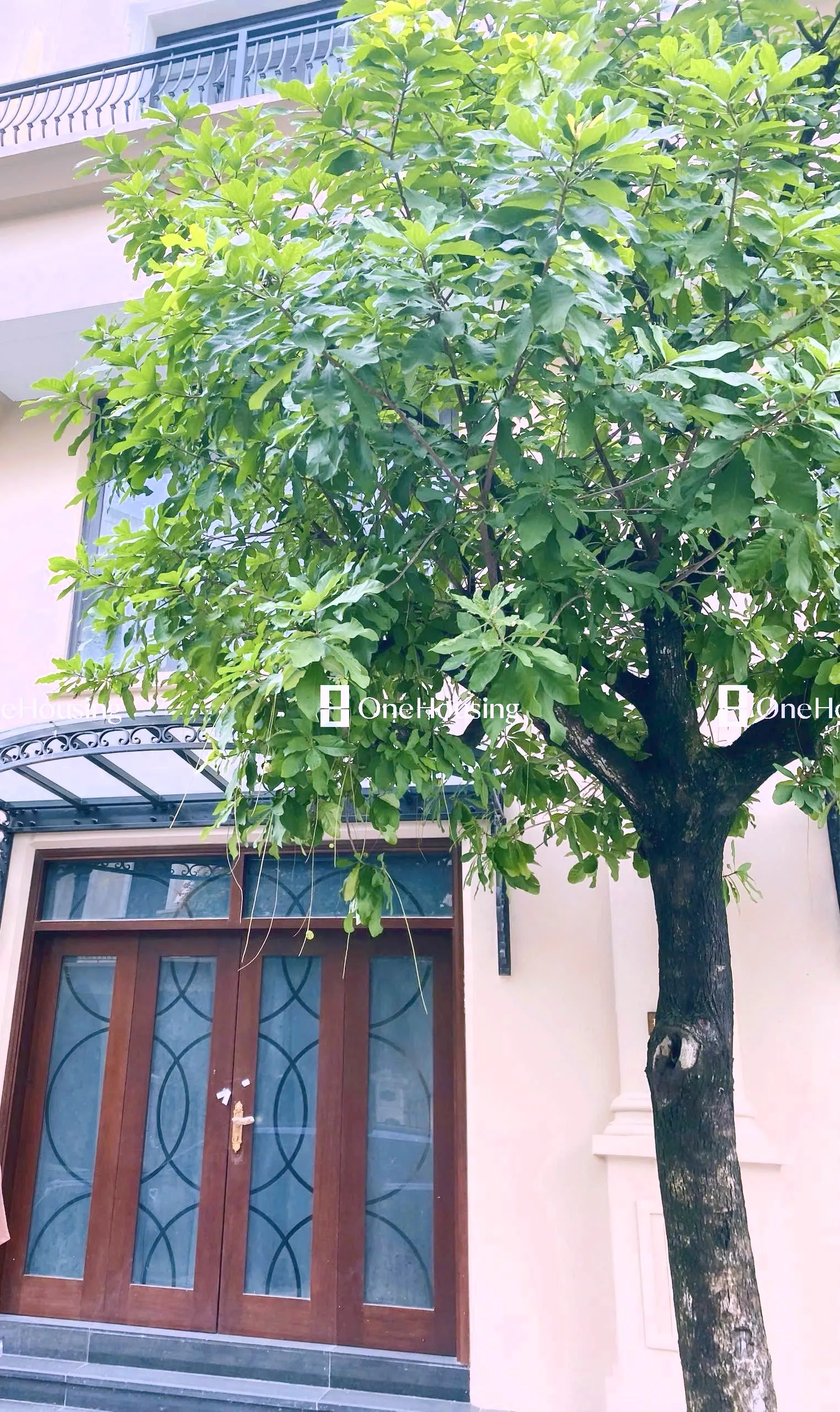 Nhà liền kề Đảo Dừa - Vinhomes Ocean Park 2 - The Empire