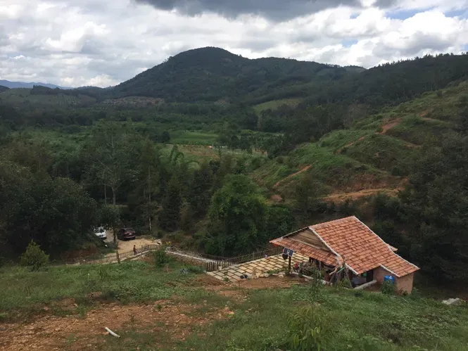 Đất sổ xanh có chuyển sang sổ đỏ được không?