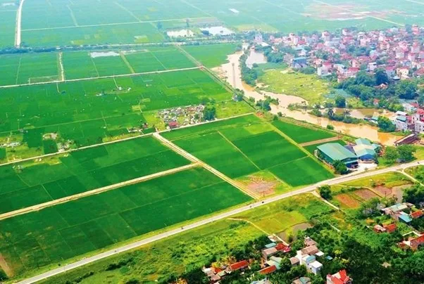 Tìm hiểu các loại đất nông nghiệp nào không được phép chuyển đổi?