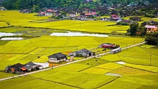 Xây nhà trên đất nông nghiệp có được đền bù hay không?