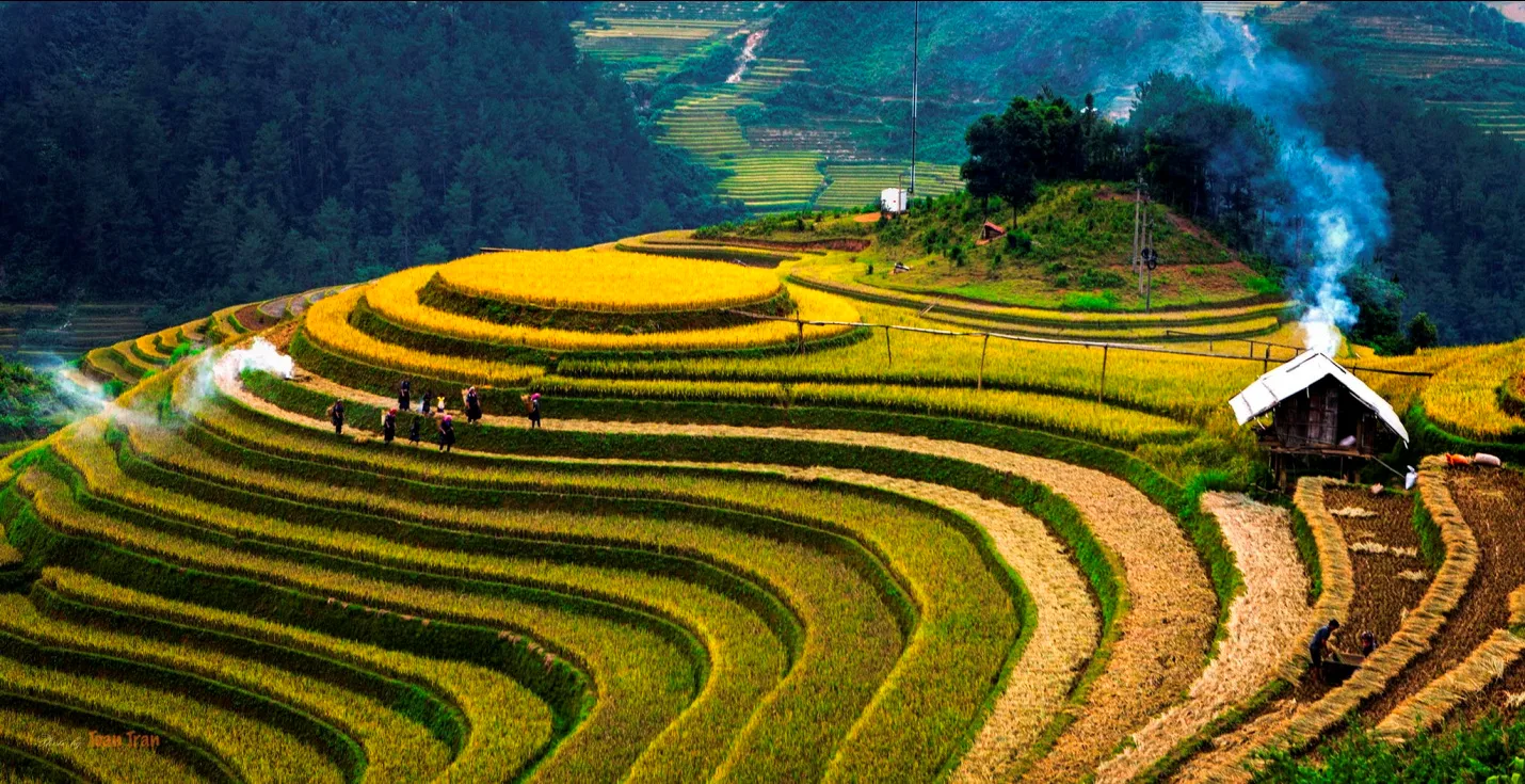 Trường hợp nào nhà nước giao đất có thu tiền sử dụng đất?