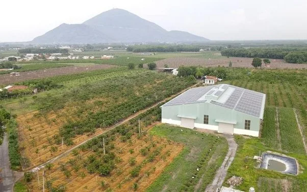 Xây dựng chuồng trại để chăn nuôi trên đất trồng cây lâu năm được không?
