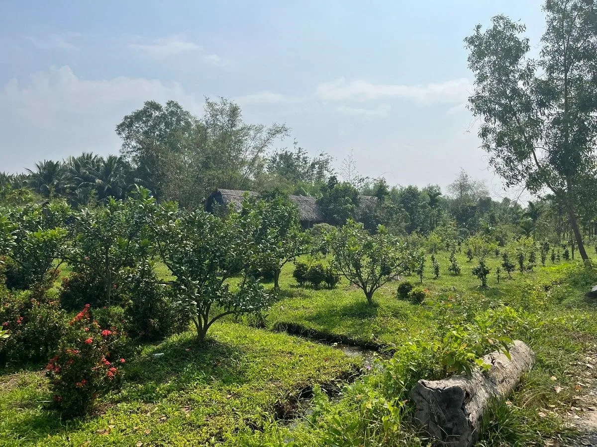 Đất trồng cây lâu năm và đất vườn giống nhau không?