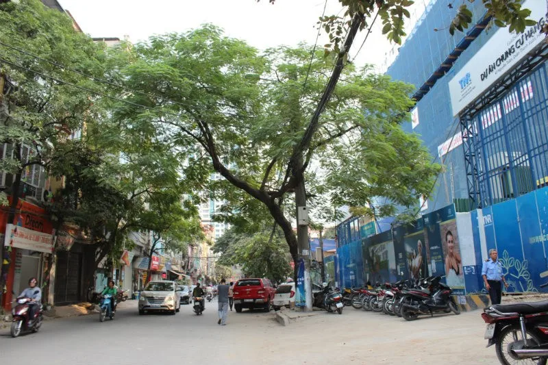 Địa điểm tiến hành thủ tục nhập khẩu với hộ gia đình mua nhà đất tại đường Vũ Trọng Phụng, quận Thanh Xuân
