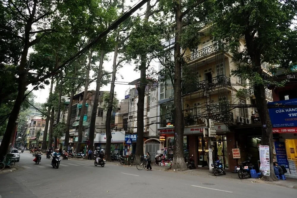 Địa điểm tiến hành thủ tục nhập khẩu với hộ gia đình mua nhà đất tại phố Lò Đúc, quận Hai Bà Trưng
