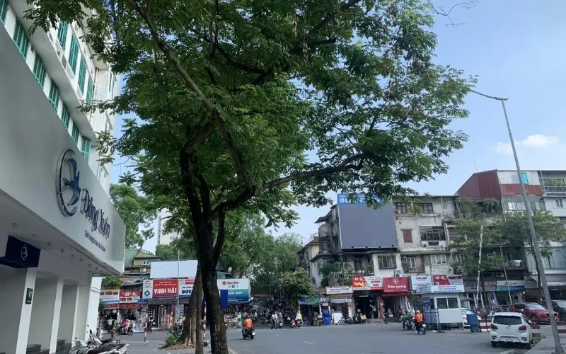 Địa điểm tiến hành thủ tục nhập khẩu với hộ gia đình mua nhà đất tại phố Thi Sách, quận Hai Bà Trưng