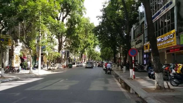 Nhà mặt ngõ cách phố Nguyễn Chính 100m, quận Hoàng Mai có giá bán bao nhiêu?