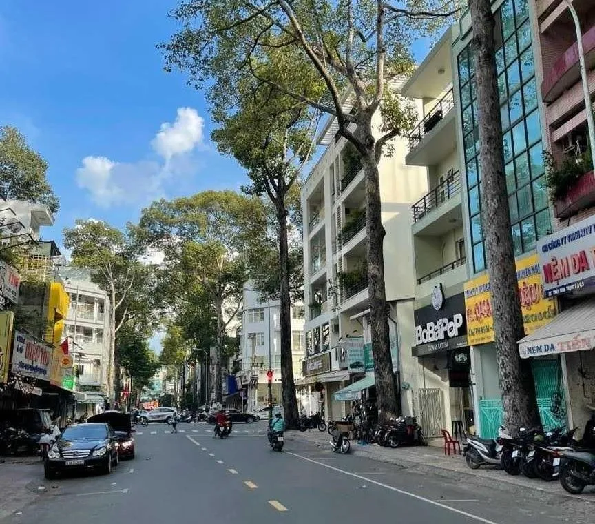 Nhà mặt phố đường Trần Bình Trọng, Quận 5 hiện có giá bao nhiêu?