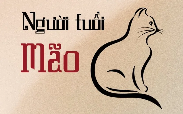 Người tuổi Mão cần chú ý điều gì trong năm 2024? 
