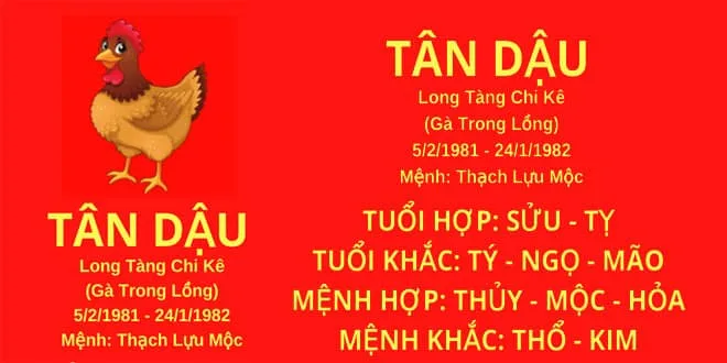 Xem tử vi tuổi Tân Dậu 1981 - Nam mạng năm 2025 CHI TIẾT NHẤT