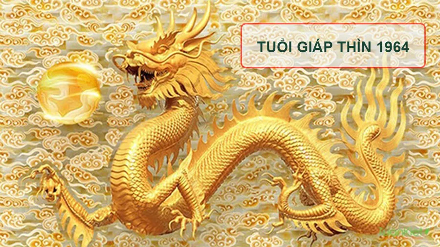 Xem tử vi tuổi Giáp Thìn 1964 - Nữ mạng năm 2024 CHI TIẾT NHẤT