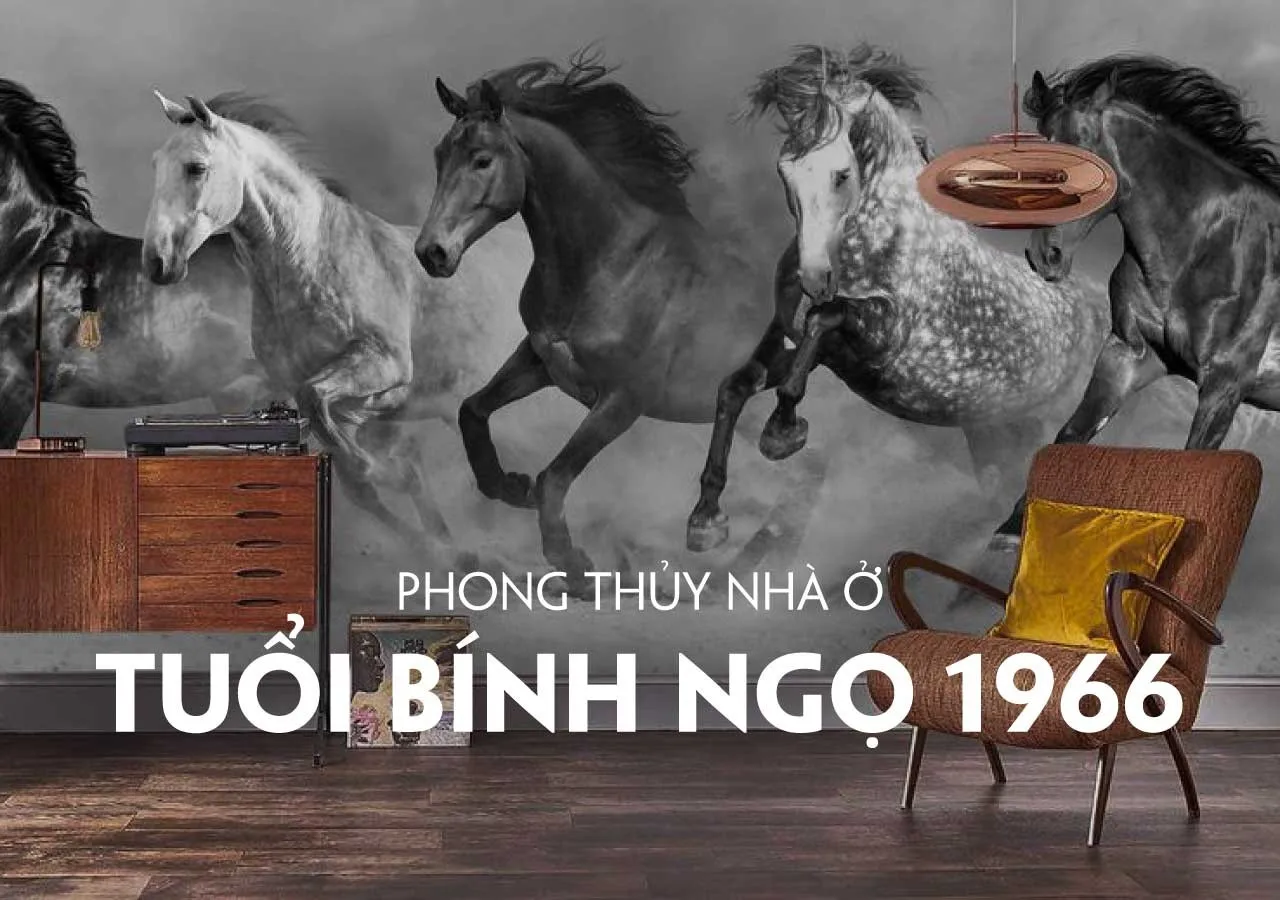 Xem tử vi tuổi Bính Ngọ 1966 - Nữ mạng năm 2024 CHI TIẾT NHẤT