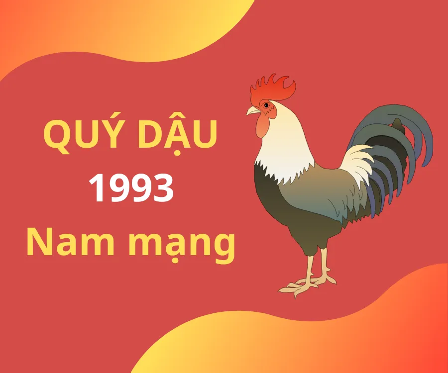 Xem tử vi tuổi Quý Dậu 1993 - Nam mạng năm 2024 CHI TIẾT NHẤT