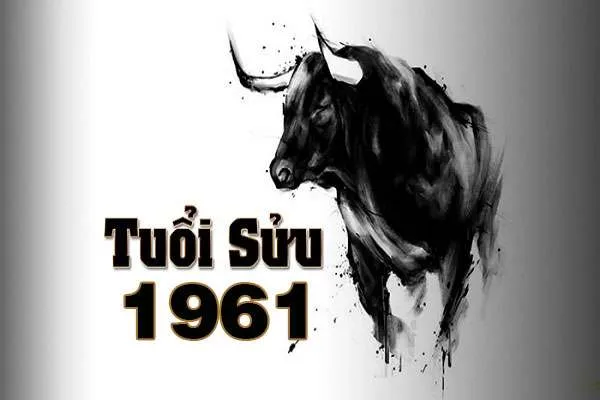 Xem tử vi tuổi Tân Sửu 1961 - Nam mạng năm 2024 CHI TIẾT NHẤT