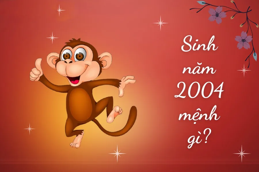 Xem tử vi tuổi Giáp Thân 2004 - Nam mạng năm 2024 CHI TIẾT NHẤT