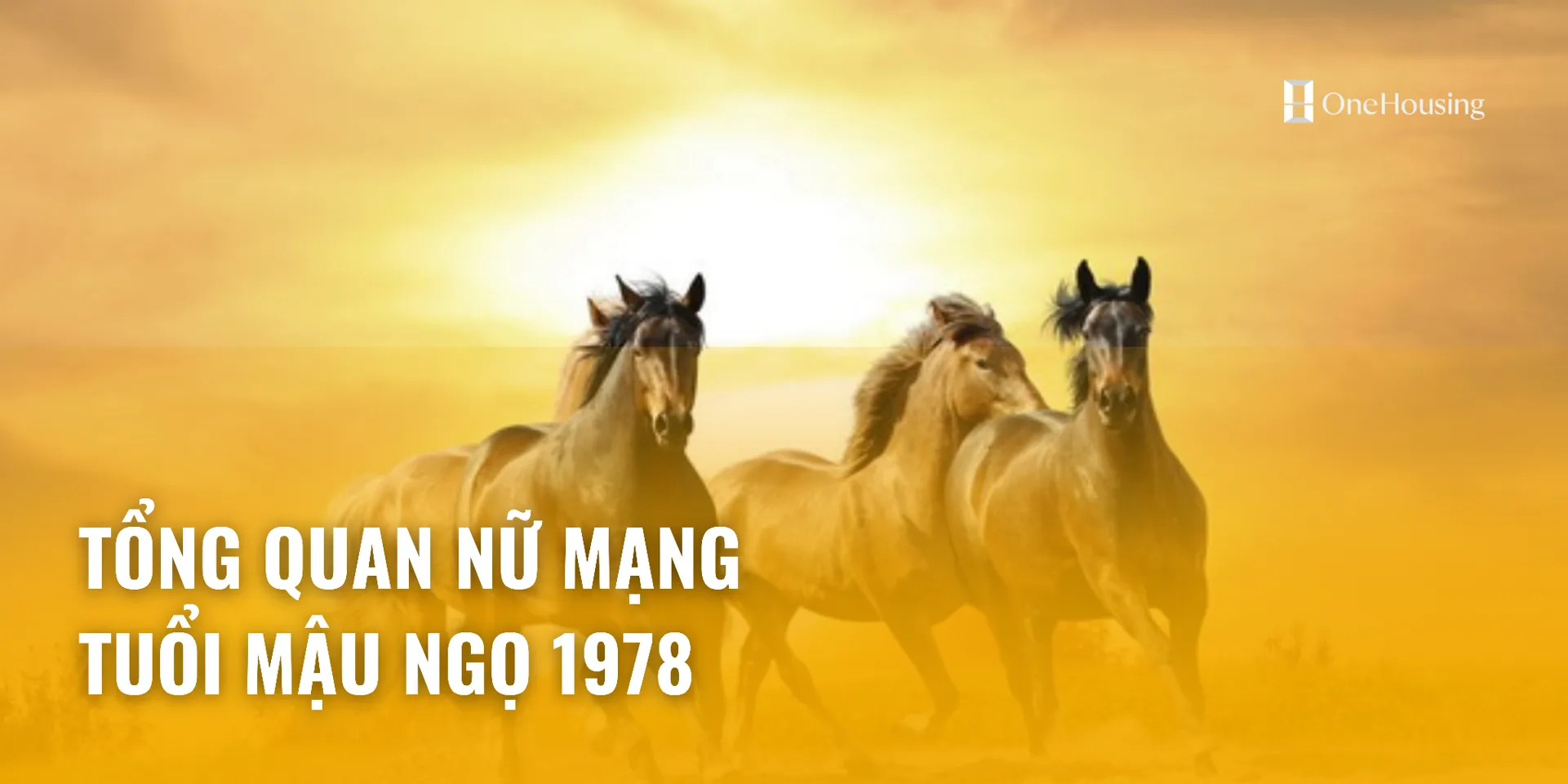 Xem tử vi tuổi Mậu Ngọ 1978 - Nữ mạng năm 2024 CHI TIẾT NHẤT