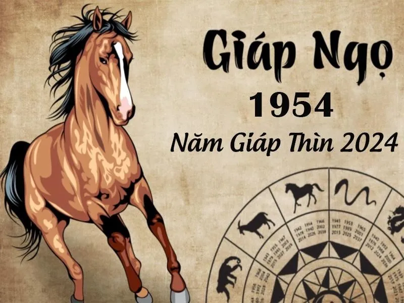 Xem tử vi tuổi Giáp Ngọ 1954 - Nữ mạng năm 2024 CHI TIẾT NHẤT