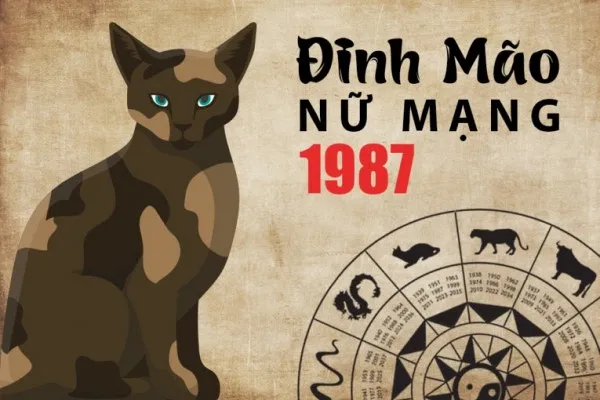 Xem tử vi tuổi Đinh Mão 1987 - Nữ mạng năm 2024 CHI TIẾT NHẤT