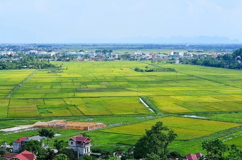 Có thể cấp sổ đỏ cho đất không có giấy tờ?