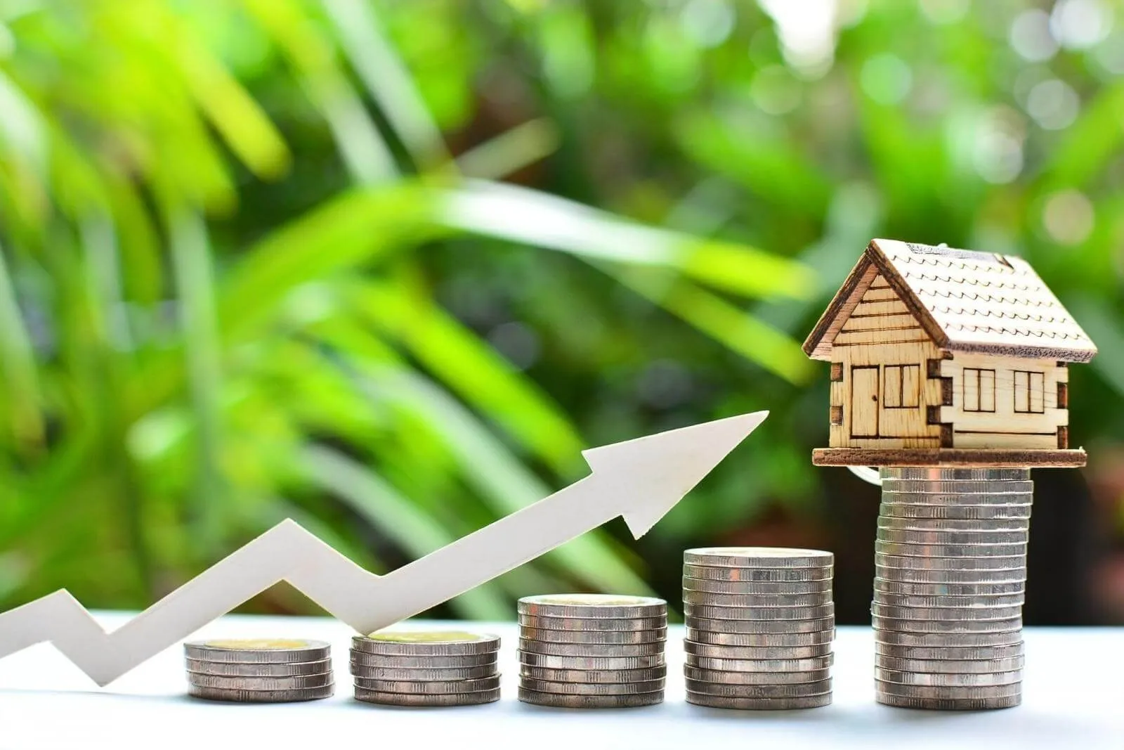 Có nên vay tiền mua đất khi đang nợ 3,6 tỷ đồng?