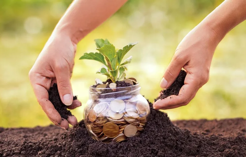 Sau bao lâu không nộp tiền sử dụng đất thì sẽ bị thu hồi?