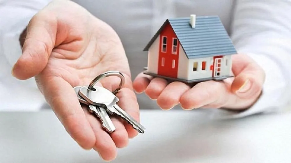 Người trẻ có nên sớm "an cư lạc nghiệp"?