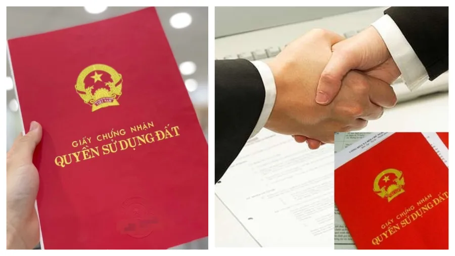 Sổ đỏ đồng sở hữu và những lưu ý quan trọng bạn cần biết
