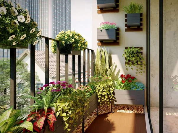 3 loại cây cảnh trồng ban công "cực dễ chăm"