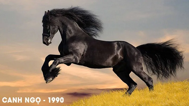 Ngày tốt tháng 5 năm 2024 để làm mọi việc thuận lợi, suôn sẻ cho người sinh năm 1990 Canh Ngọ