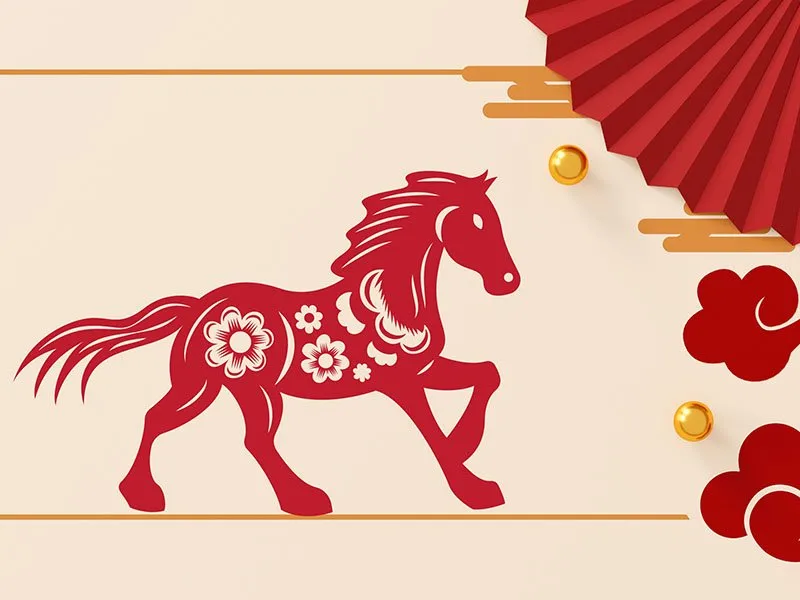 Vận niên theo tử vi tuổi Nhâm Ngọ năm 2024 nữ mạng là gì?